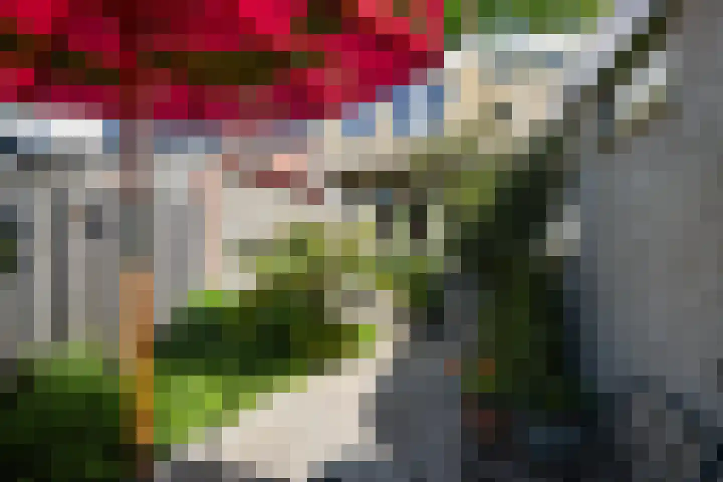 Plantagestraat 15 Tholen thumbnail 42