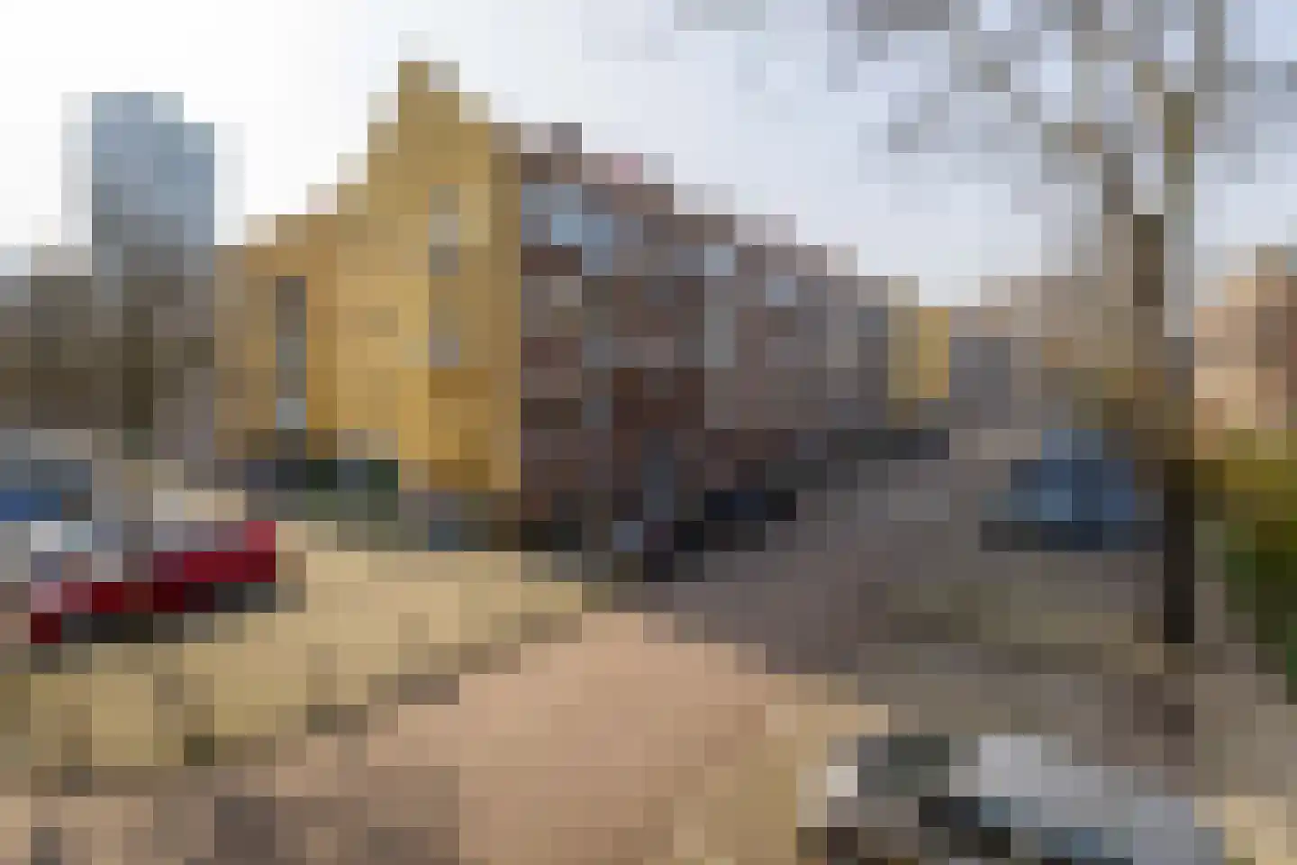Plantagestraat 2 C Rotterdam thumbnail 8