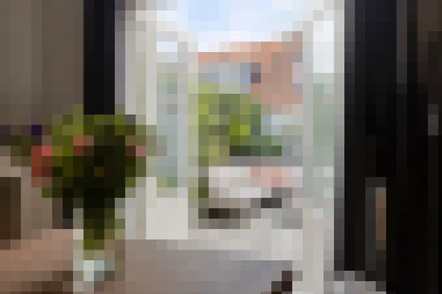 Plantagestraat 23 Tholen thumbnail 18