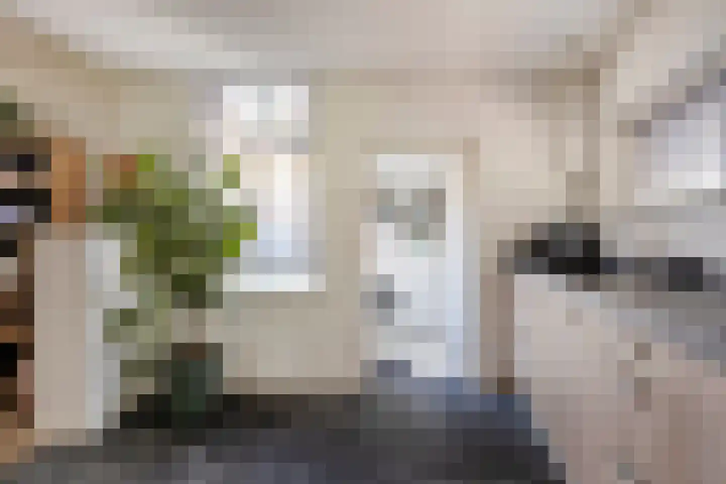 Plantagestraat 23 Tholen thumbnail 23