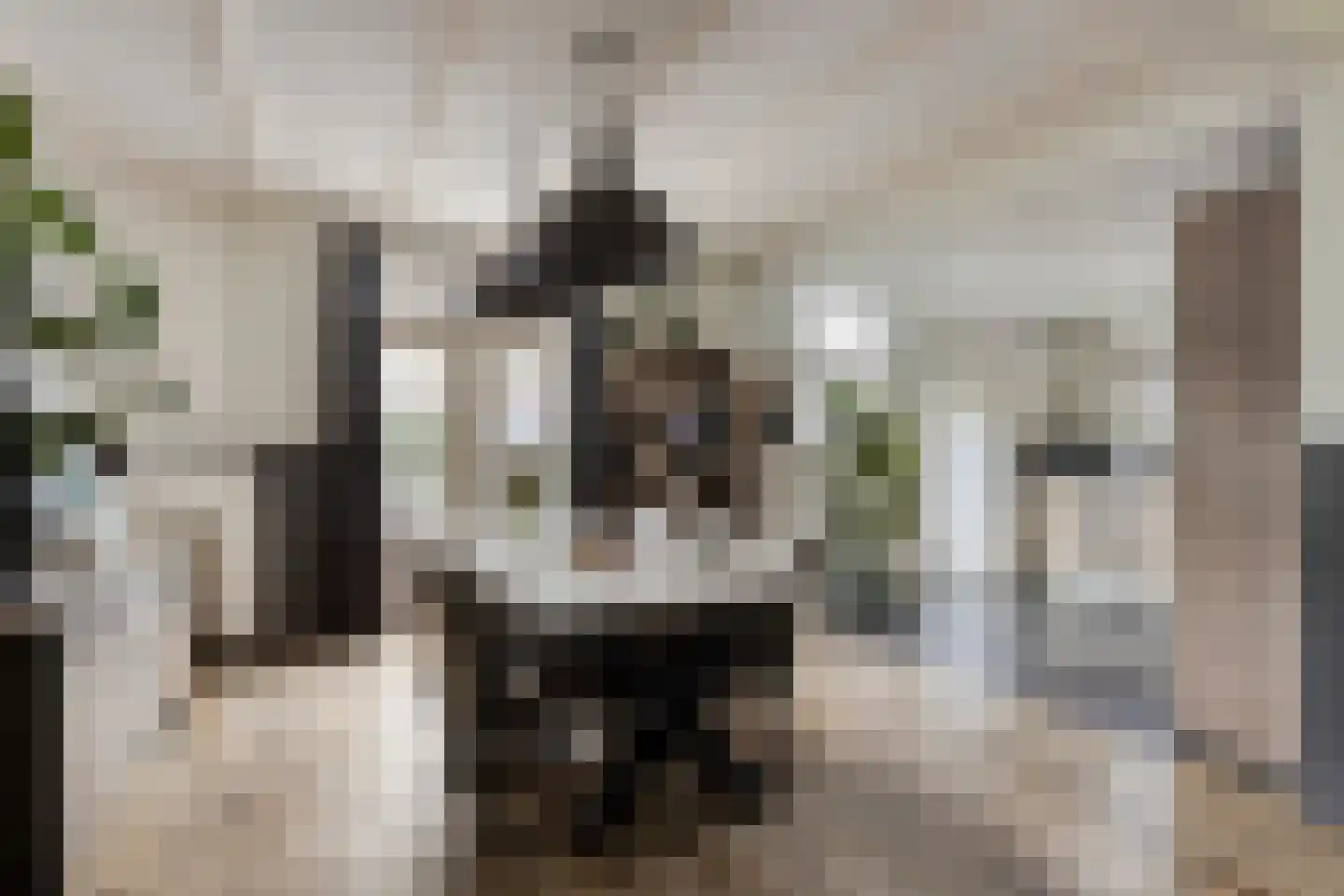 Plantagestraat 23 Tholen thumbnail 4
