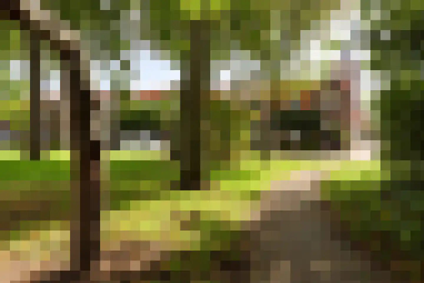 Plantagestraat 23 Tholen thumbnail 5
