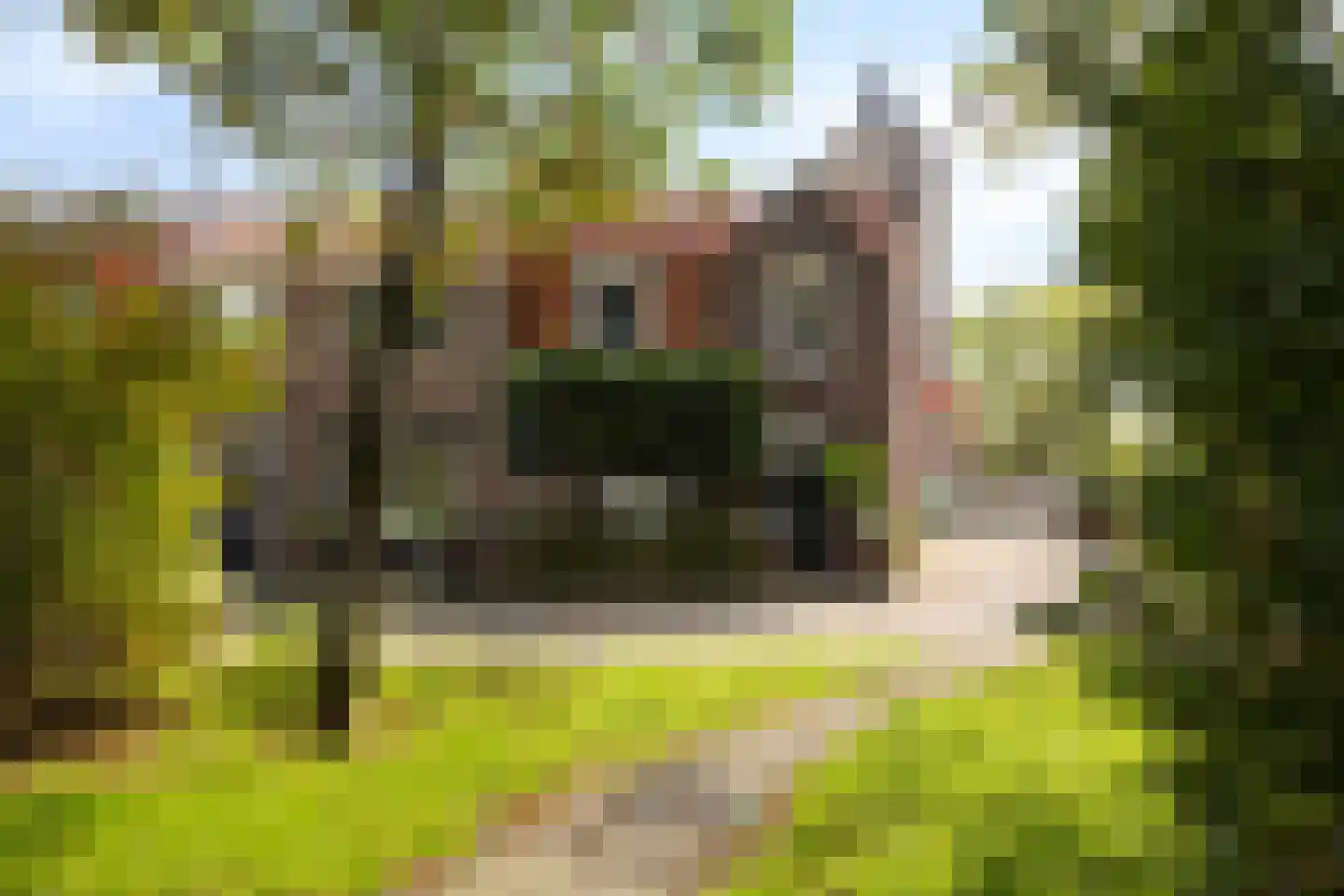 Plantagestraat 23 Tholen thumbnail 50