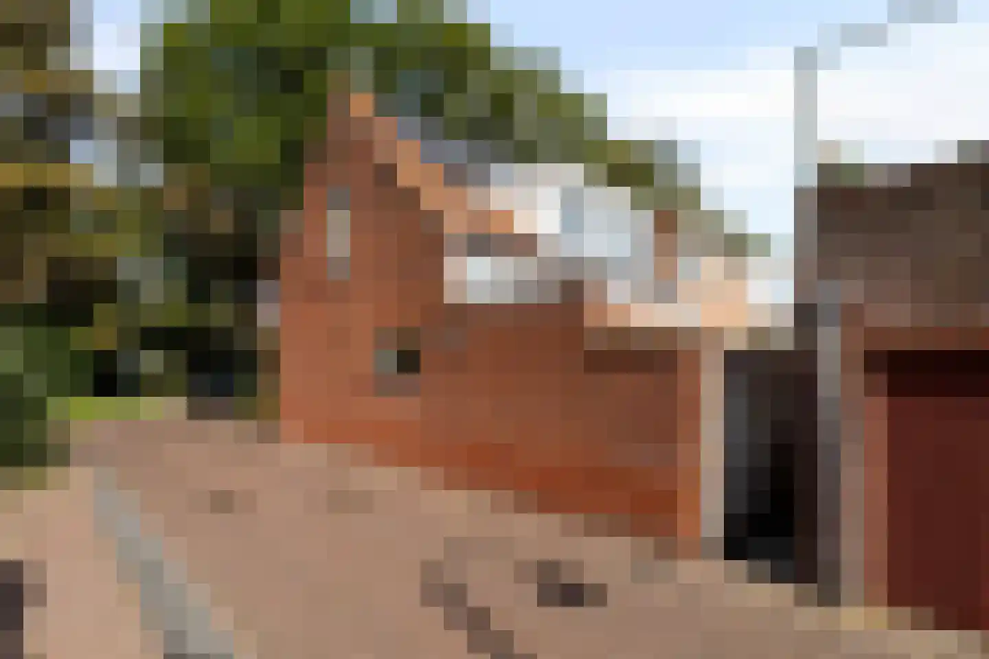 Plantagestraat 23 Tholen thumbnail 54