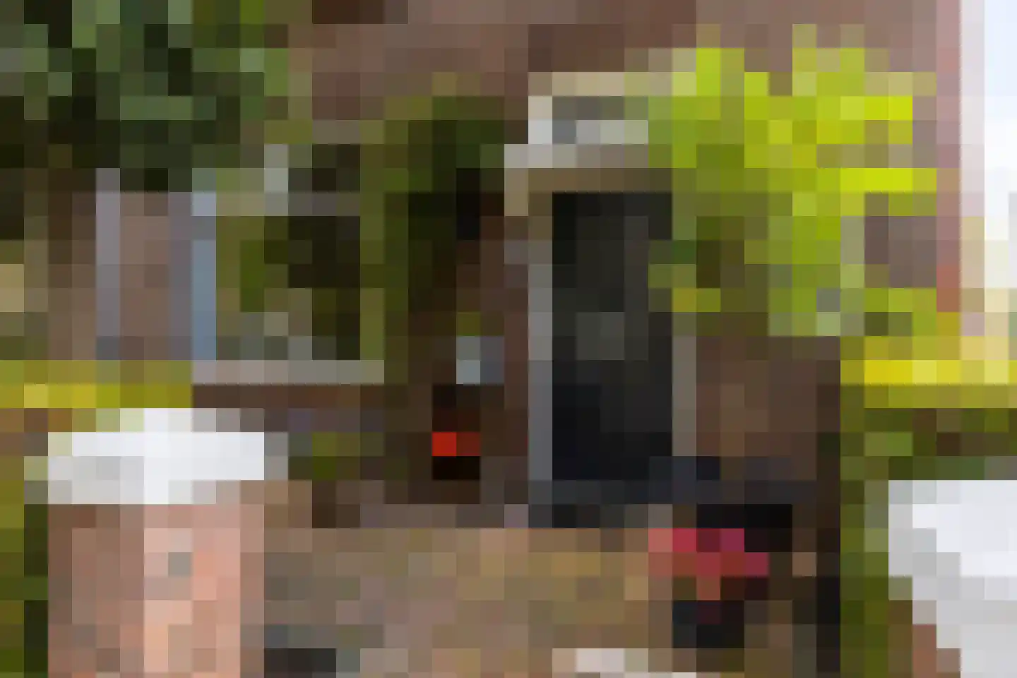 Plantagestraat 23 Tholen thumbnail 6