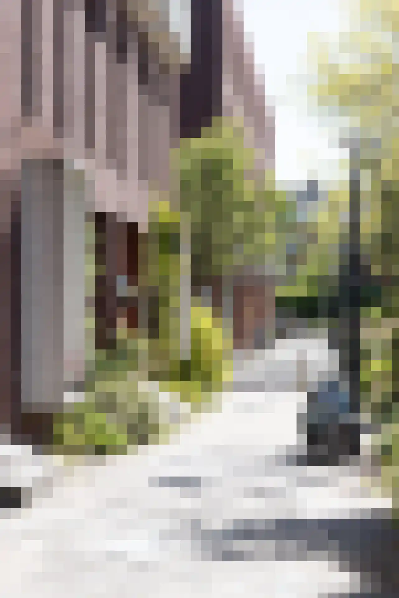 Plantagestraat 41 Rotterdam thumbnail 34