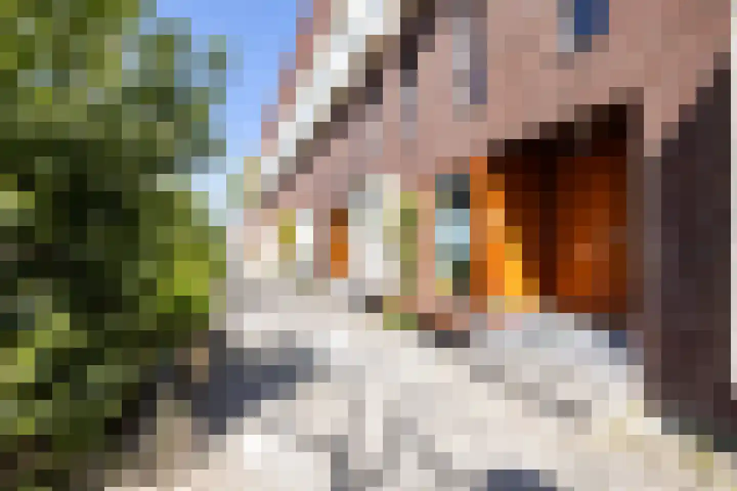Plantagestraat 41 Rotterdam thumbnail 36
