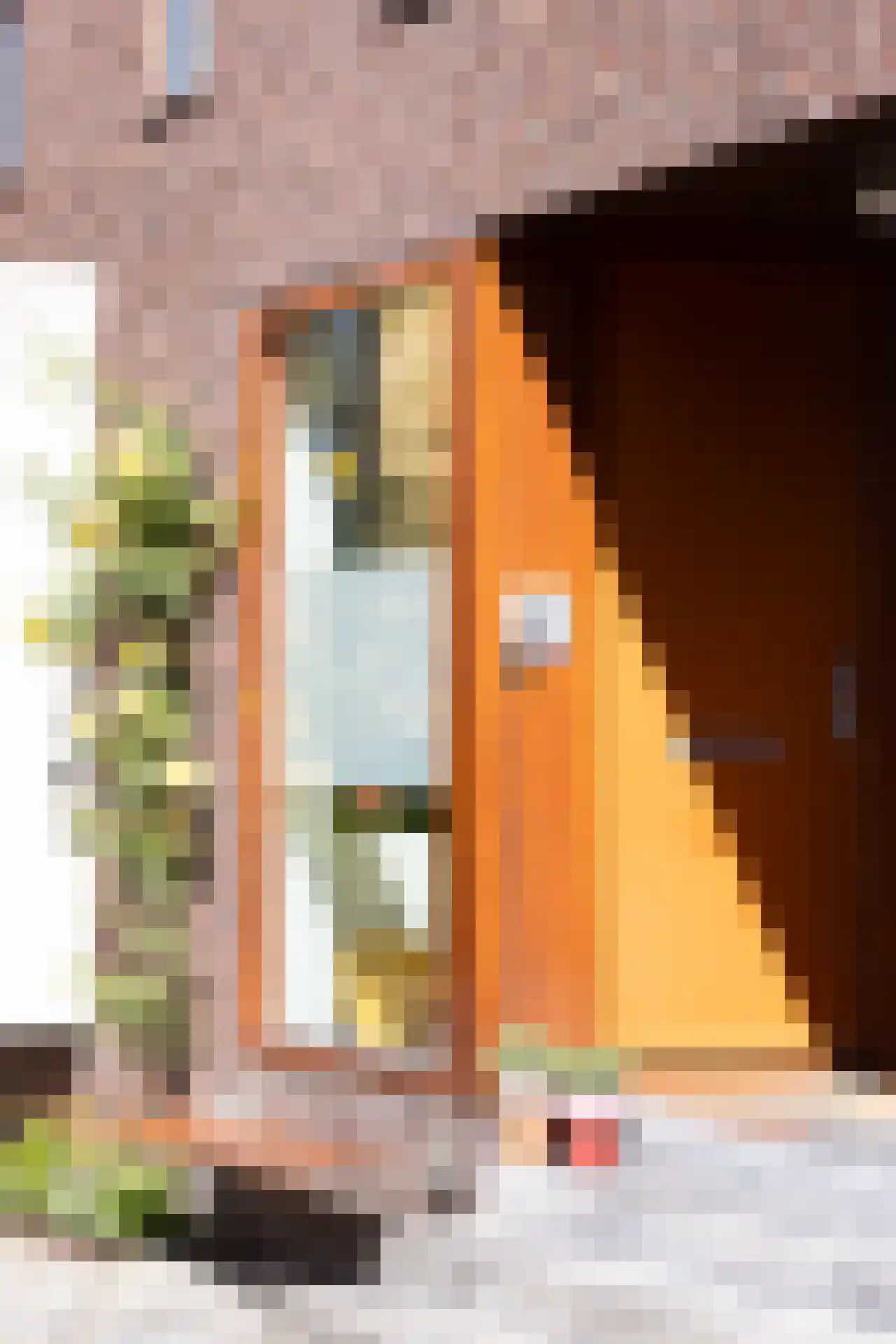 Plantagestraat 41 Rotterdam thumbnail 37