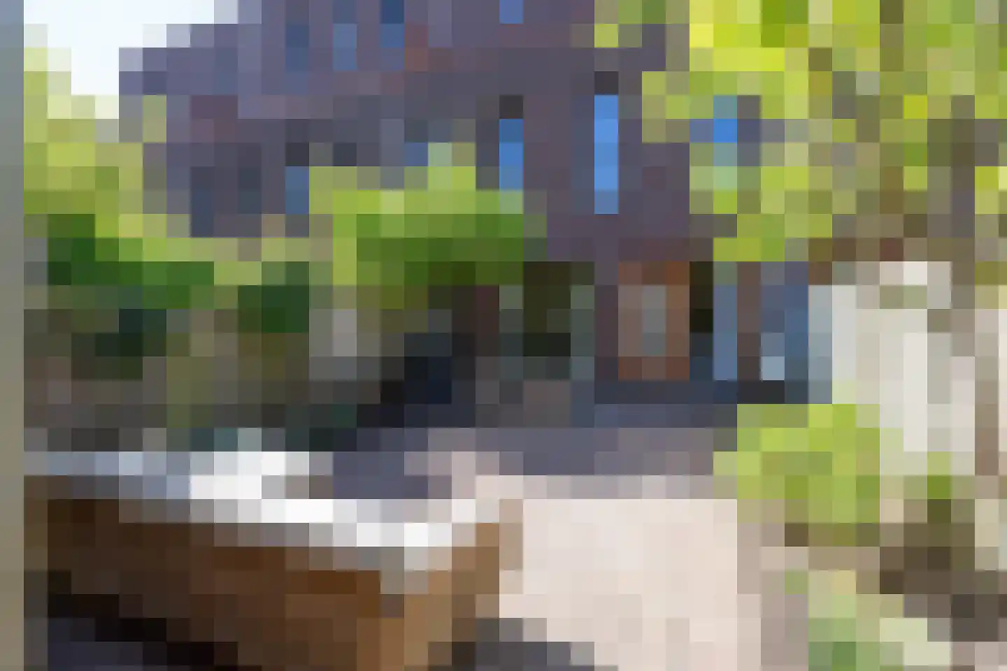 Plantagestraat 41 Rotterdam thumbnail 5
