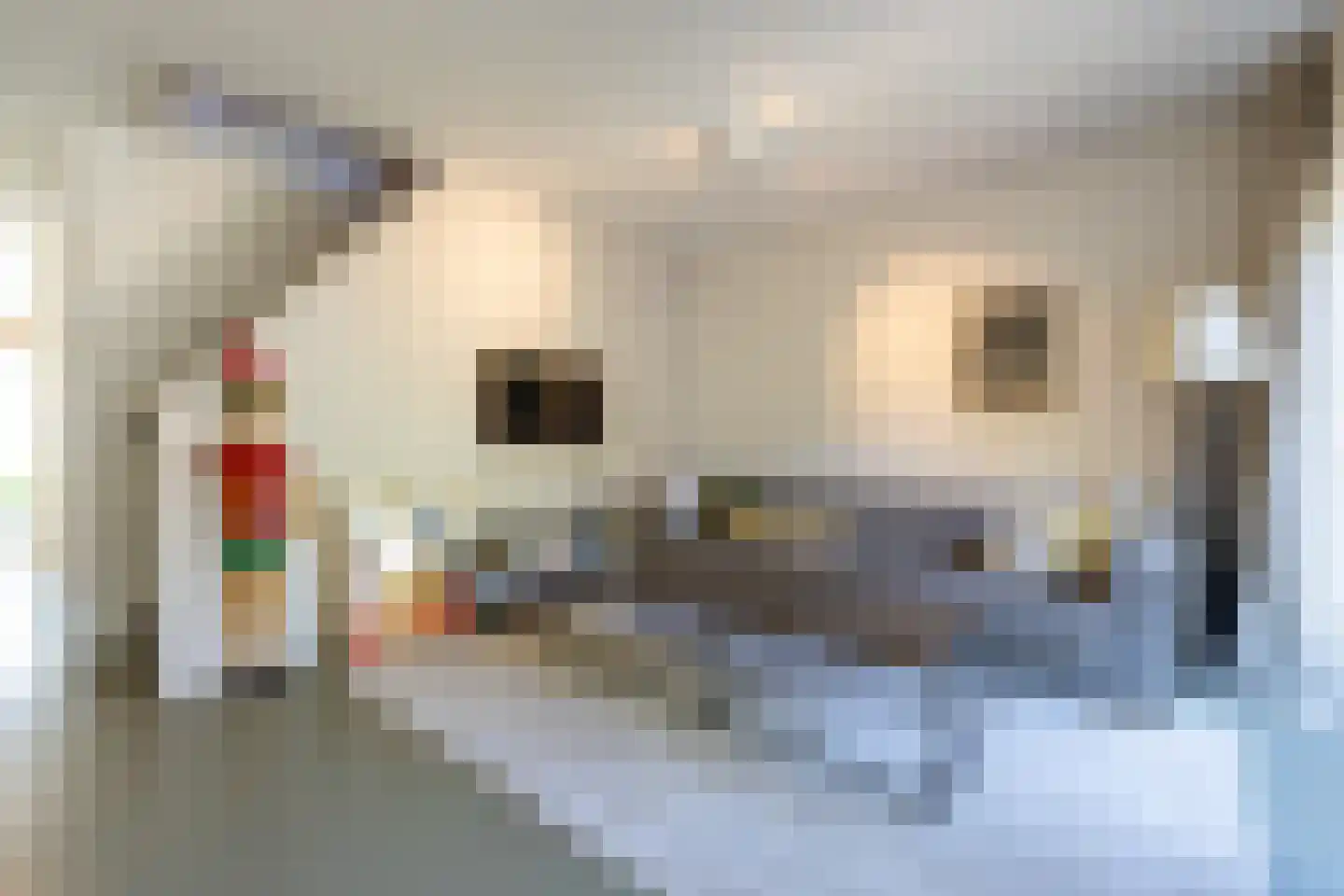 Plantagestraat 41 Rotterdam thumbnail 9