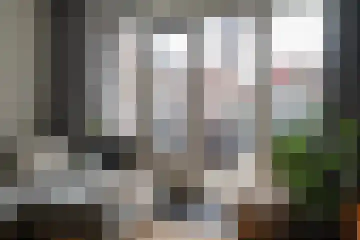 Plantagestraat 93 Rotterdam thumbnail 17