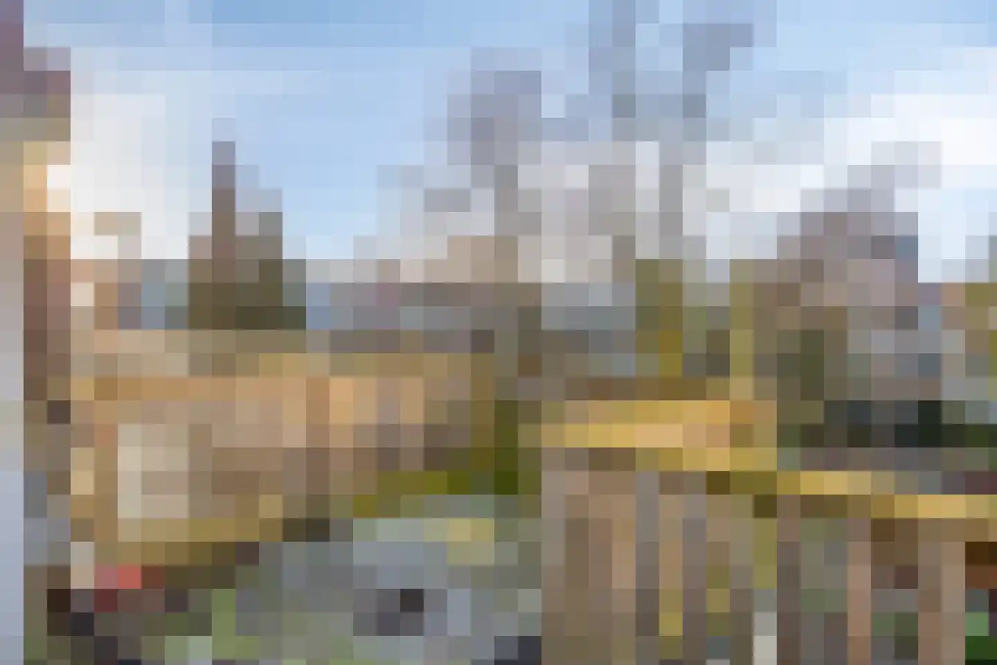Plantageweg 14 BN Rotterdam thumbnail 50