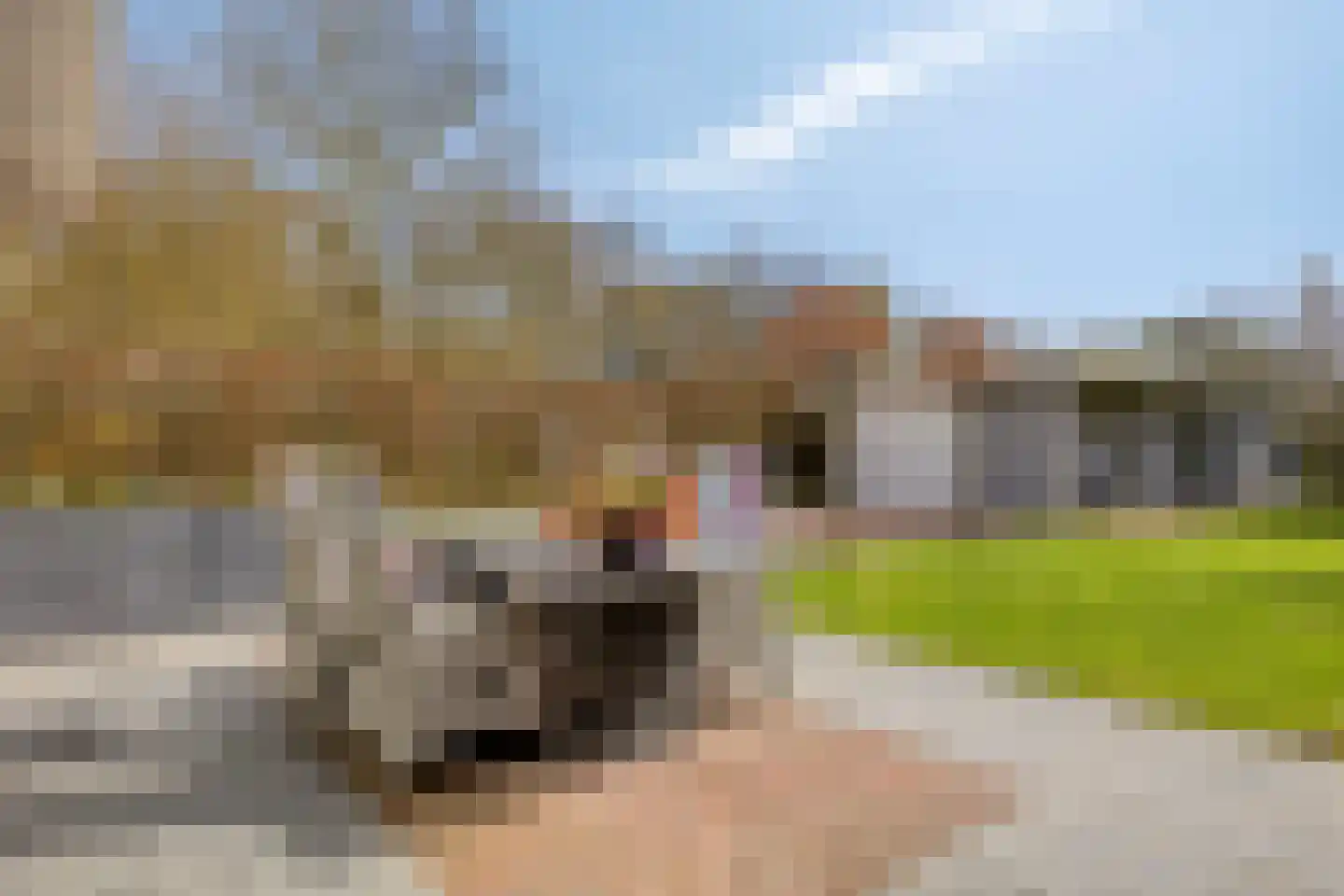 Plantageweg 14 Wenum Wiesel thumbnail 39