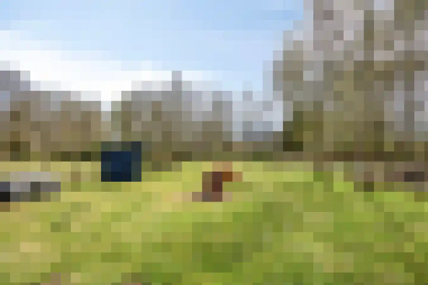 Plantageweg 14 Wenum Wiesel thumbnail 50