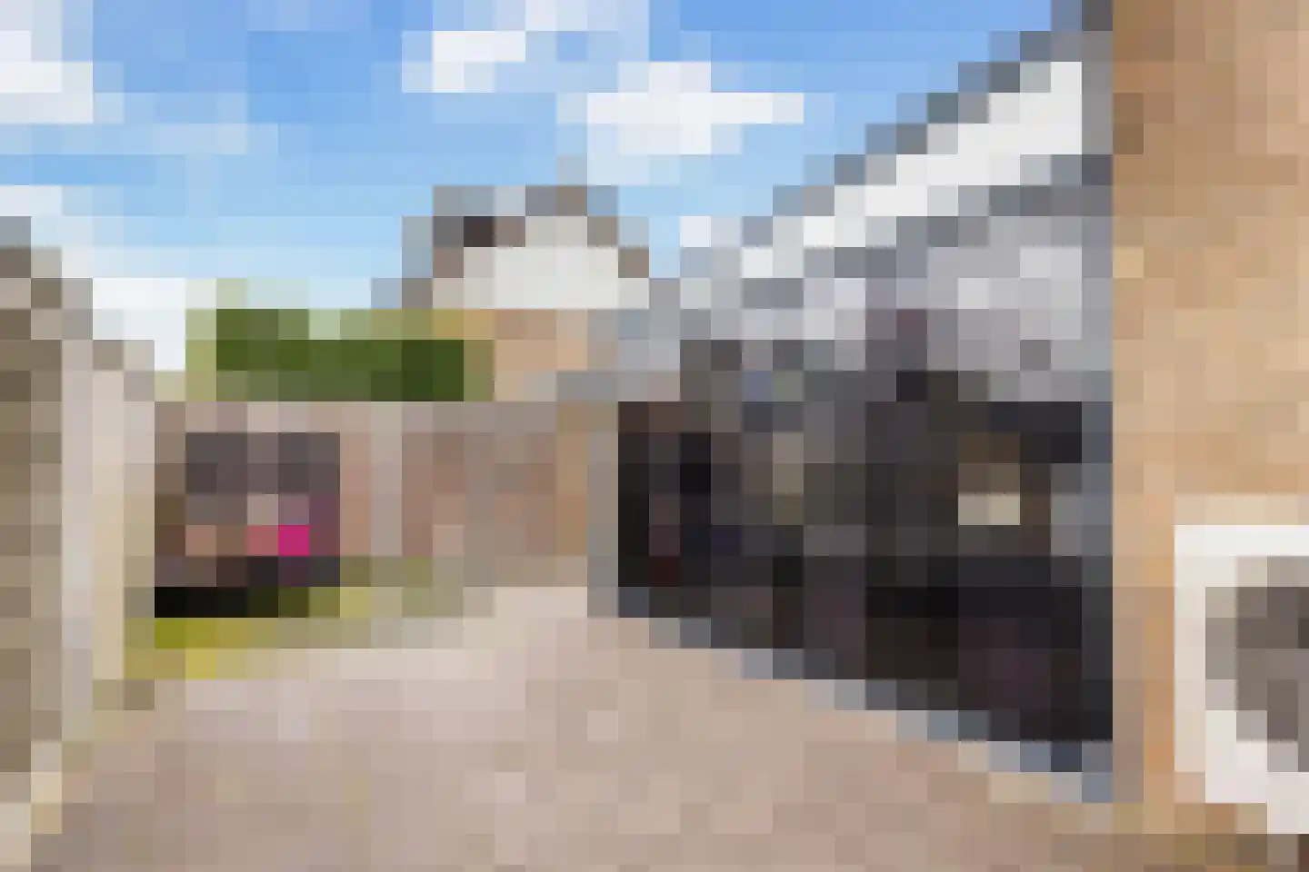 Plantageweg 28 Zwijndrecht thumbnail 27