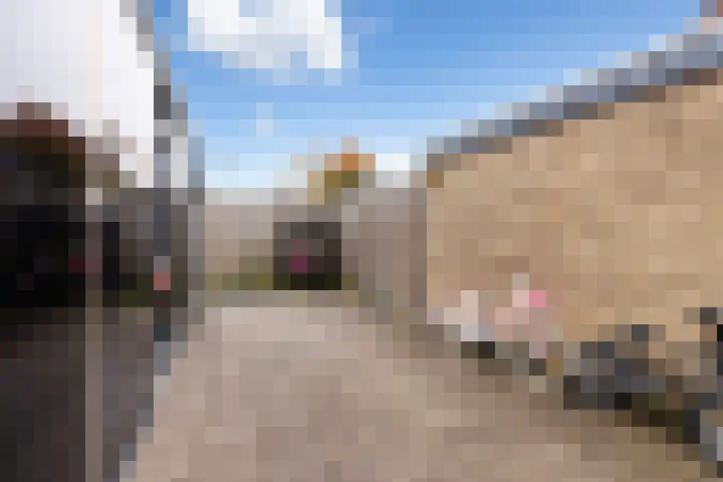 Plantageweg 28 Zwijndrecht thumbnail 30