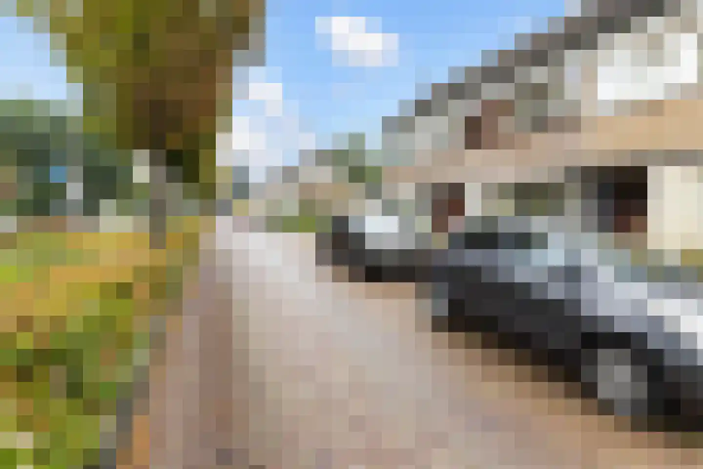 Plantageweg 28 Zwijndrecht thumbnail 32