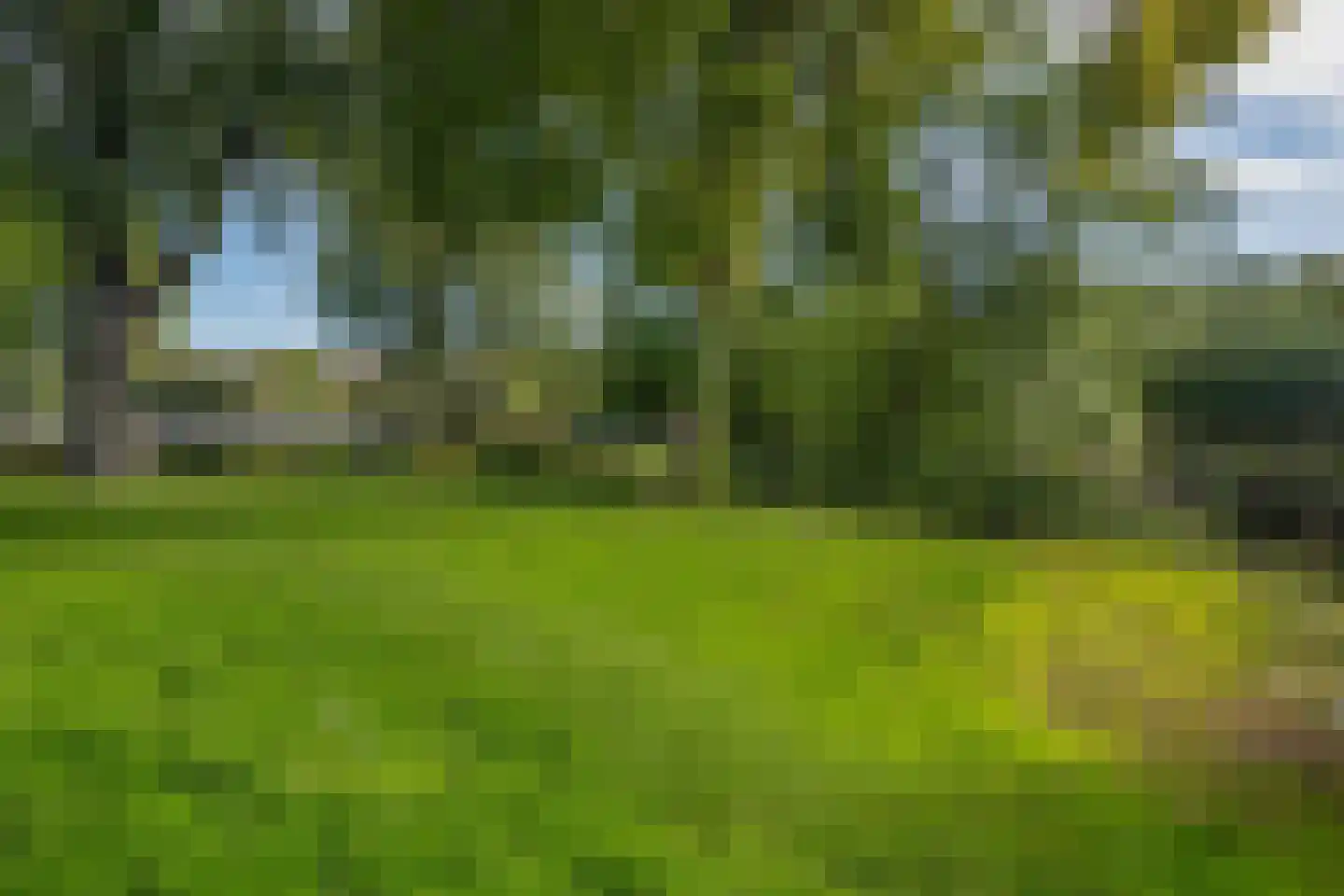 Plantageweg 37 A Rotterdam thumbnail 26