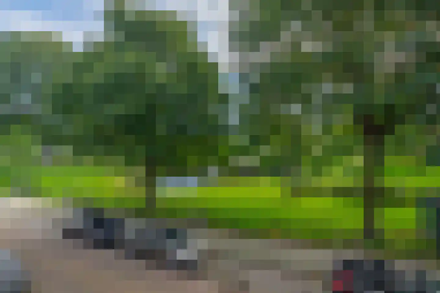 Plantageweg 37 A Rotterdam thumbnail 6