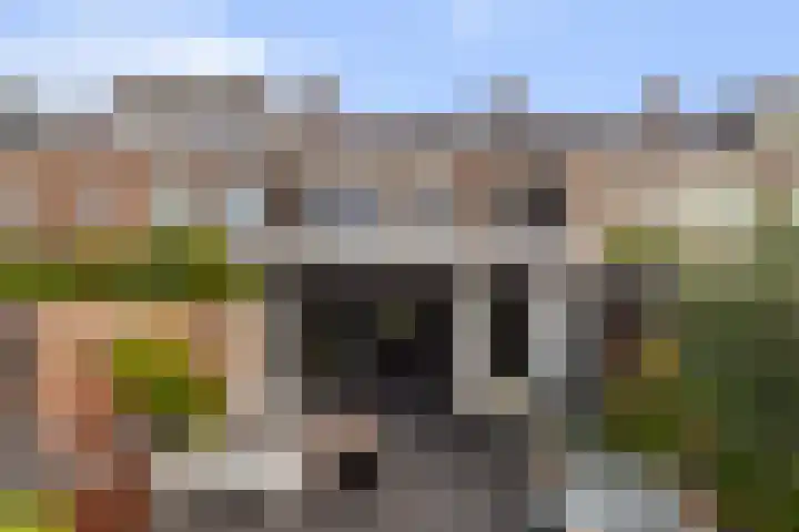 Plantageweg 44 Alblasserdam thumbnail 30