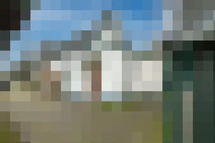 Plantageweg 5 Wenum Wiesel thumbnail 11