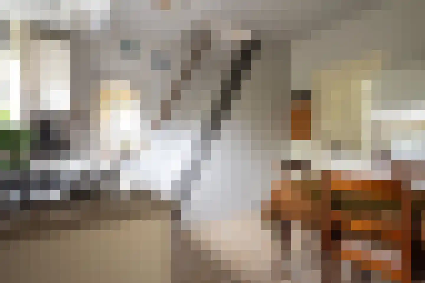 Plantageweg 5 Wenum Wiesel thumbnail 12