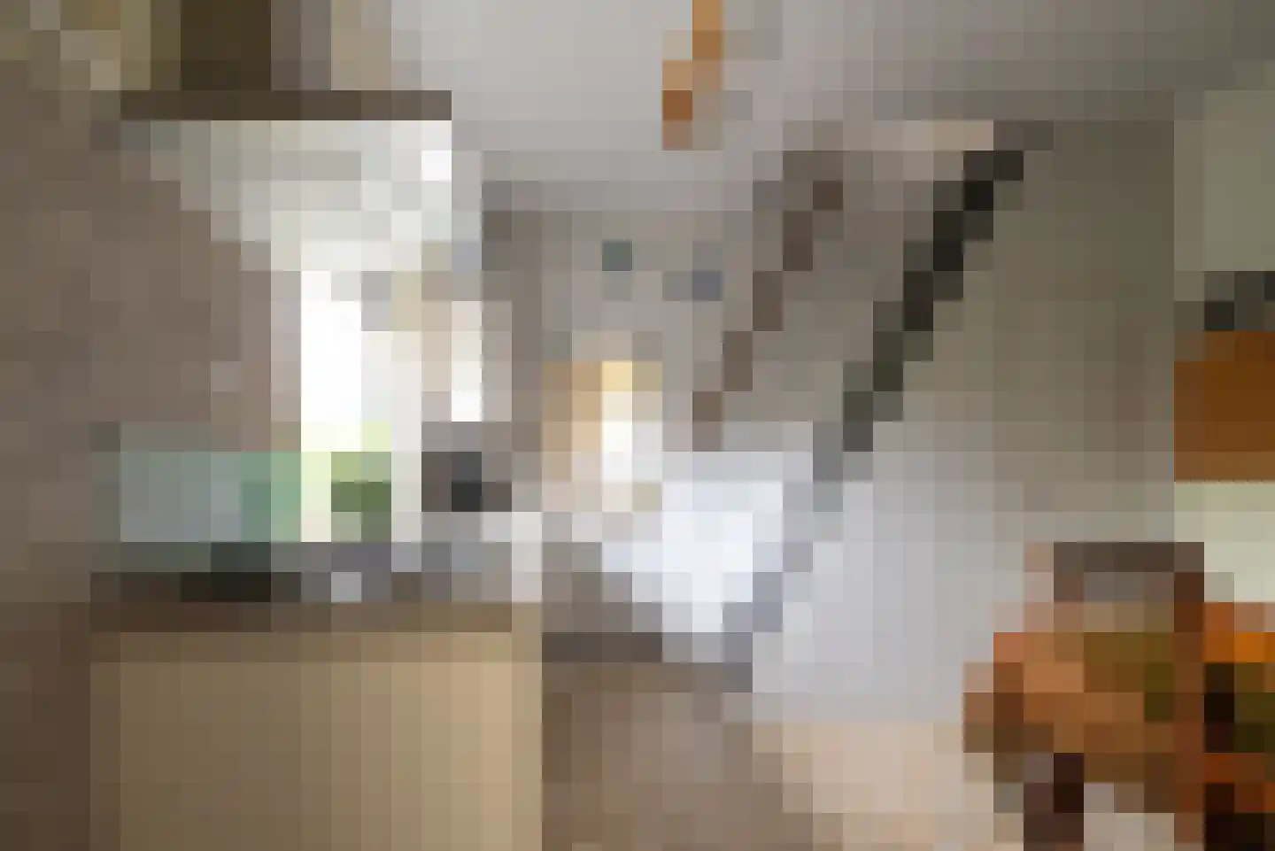 Plantageweg 5 Wenum Wiesel thumbnail 13