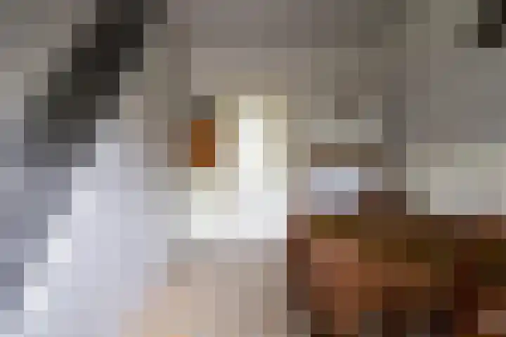 Plantageweg 5 Wenum Wiesel thumbnail 14