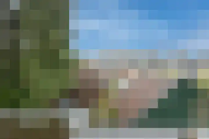 Plantageweg 5 Wenum Wiesel thumbnail 37