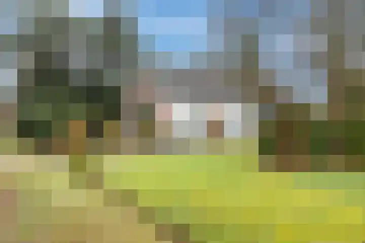 Plantageweg 5 Wenum Wiesel thumbnail 5