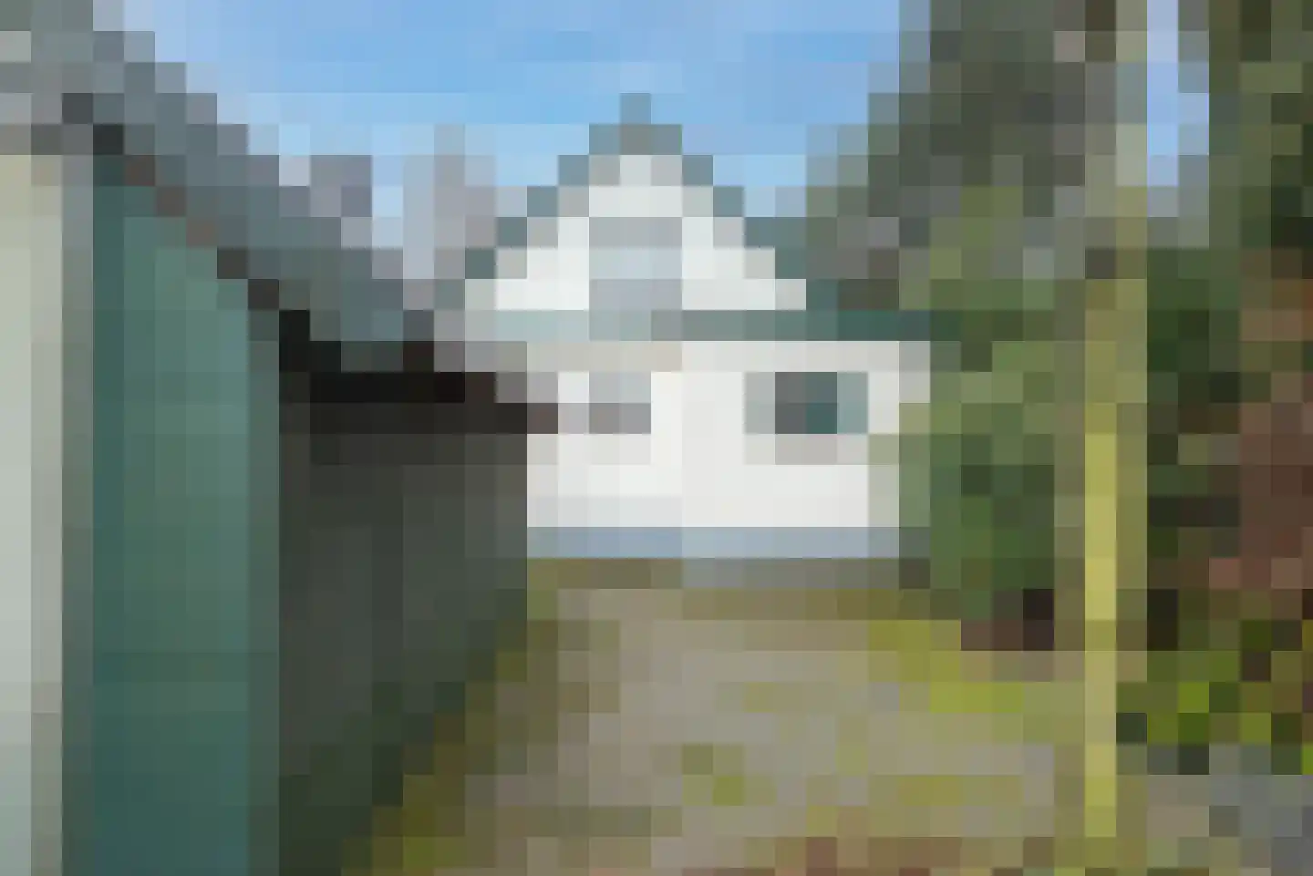 Plantageweg 5 Wenum Wiesel thumbnail 7