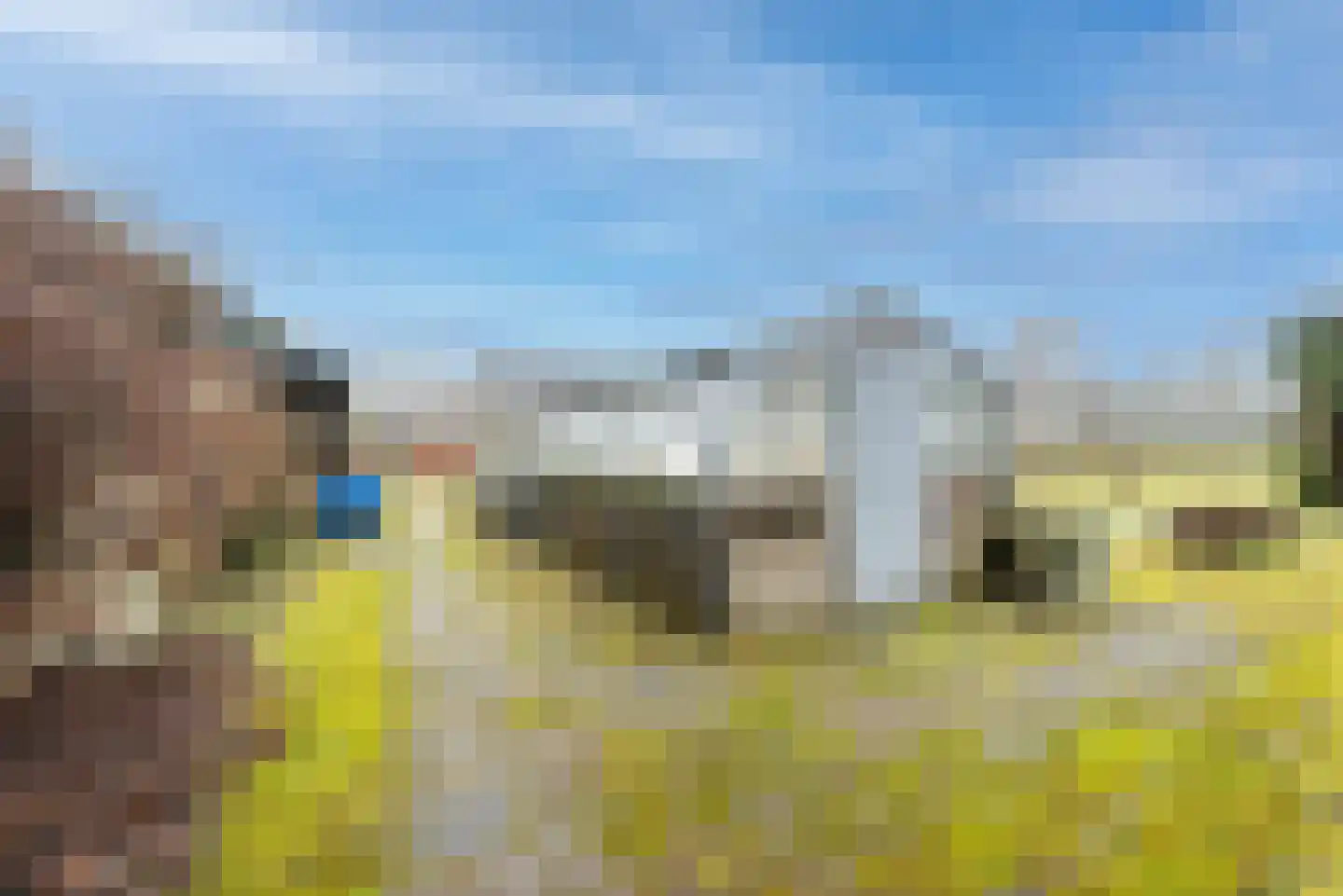 Plantageweg 5 Wenum Wiesel thumbnail 8