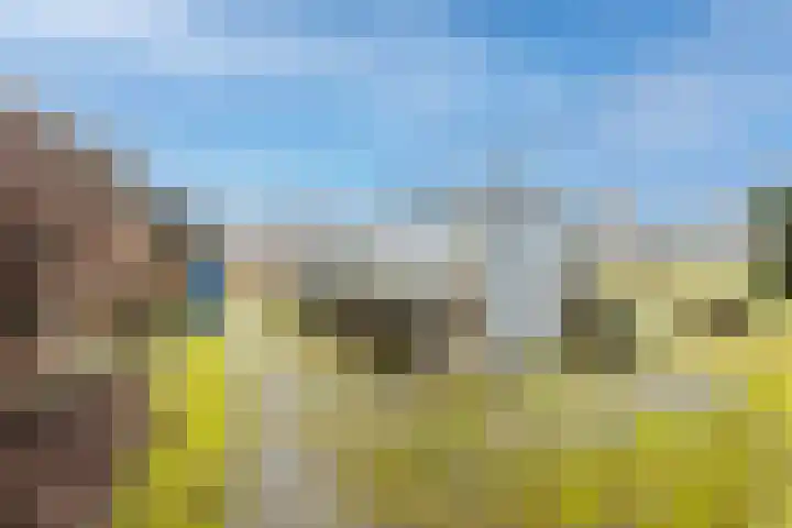 Plantageweg 5 Wenum Wiesel thumbnail 8