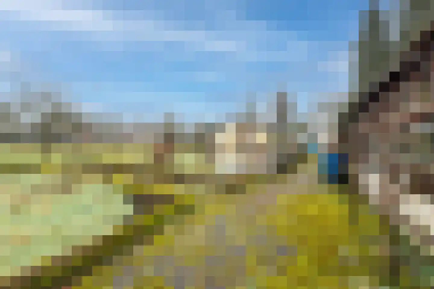 Plantageweg 5 Wenum Wiesel thumbnail 9