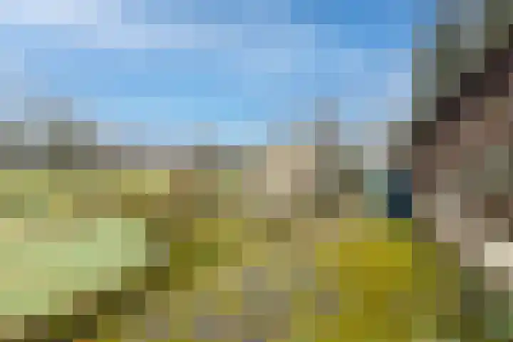 Plantageweg 5 Wenum Wiesel thumbnail 9