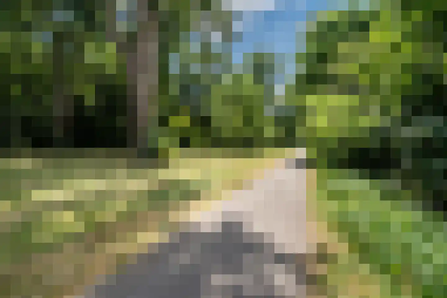 Plantageweg 59 Zwijndrecht thumbnail 34