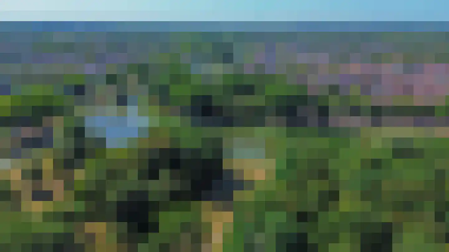 Plantageweg 8 Zwijndrecht thumbnail 44