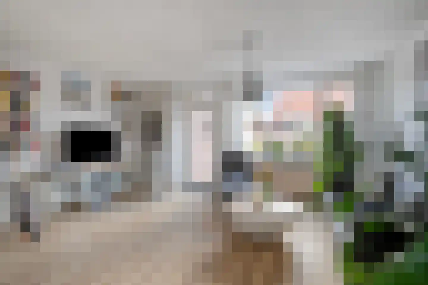 Plantboorstraat 14 Purmerend thumbnail 11