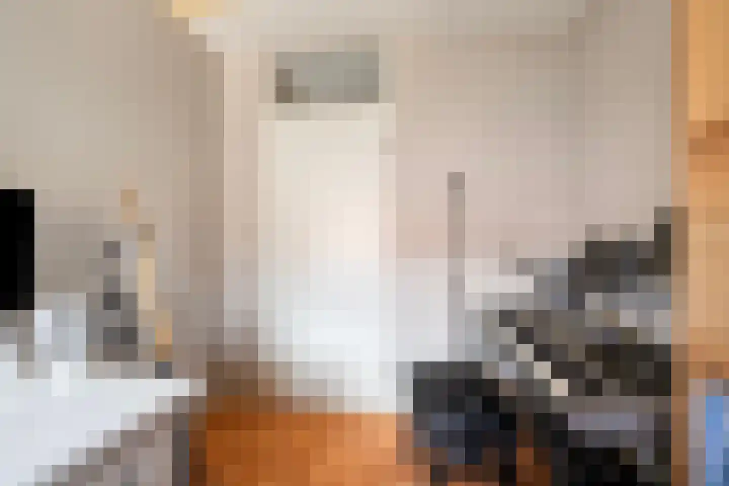Plantboorstraat 14 Purmerend thumbnail 17