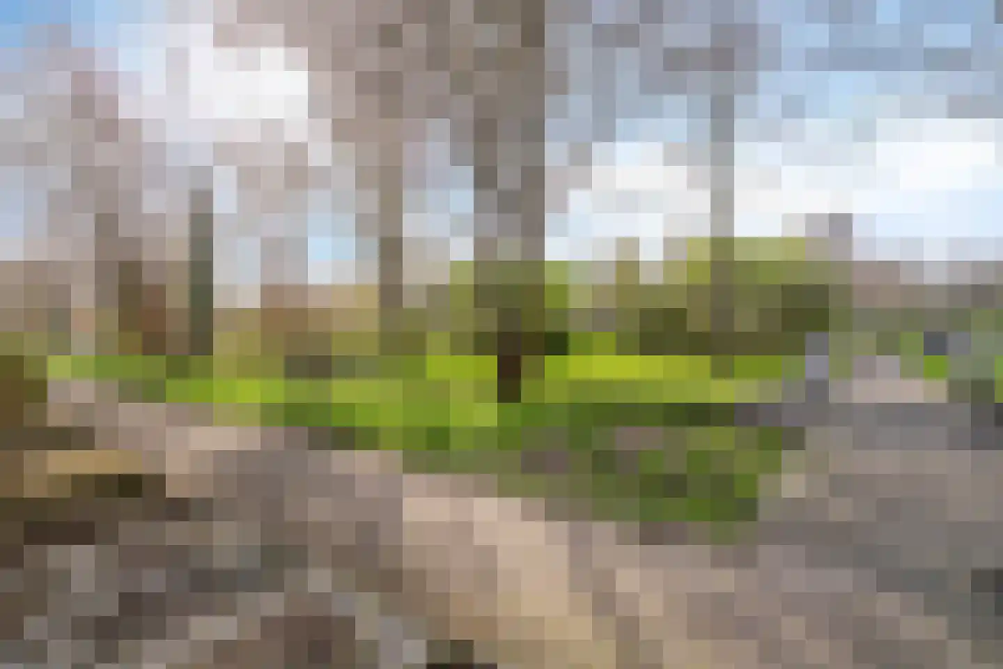Plantboorstraat 14 Purmerend thumbnail 34