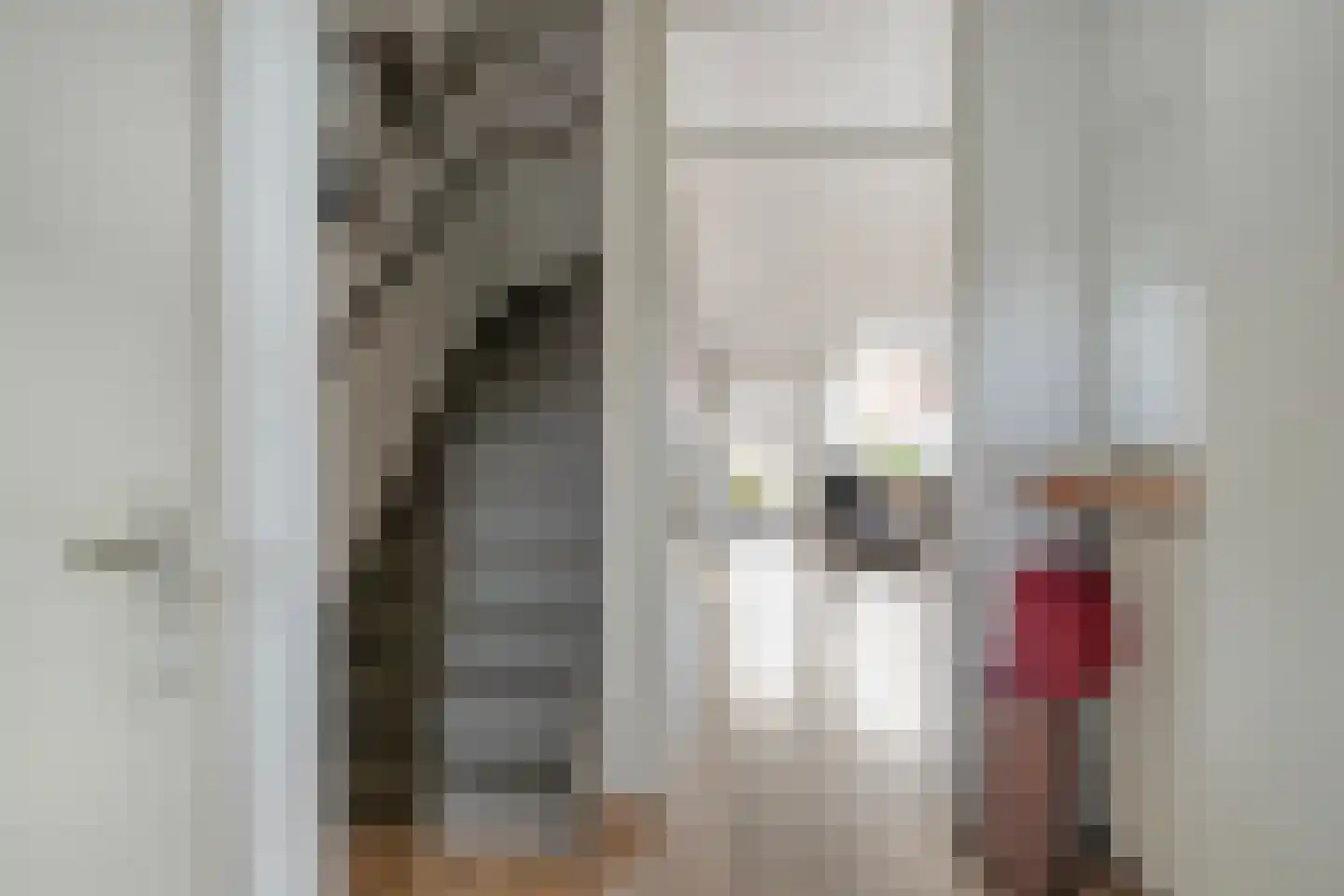 Plantboorstraat 14 Purmerend thumbnail 9