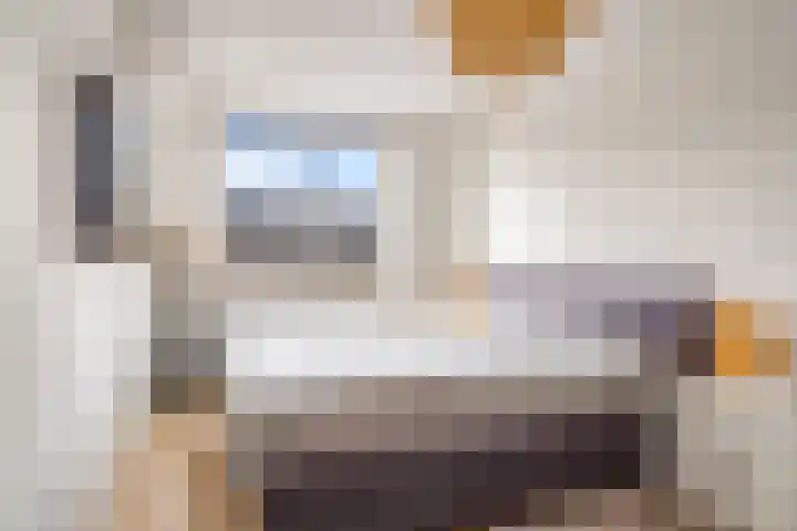 Plantenkasstraat 14 Utrecht thumbnail 23