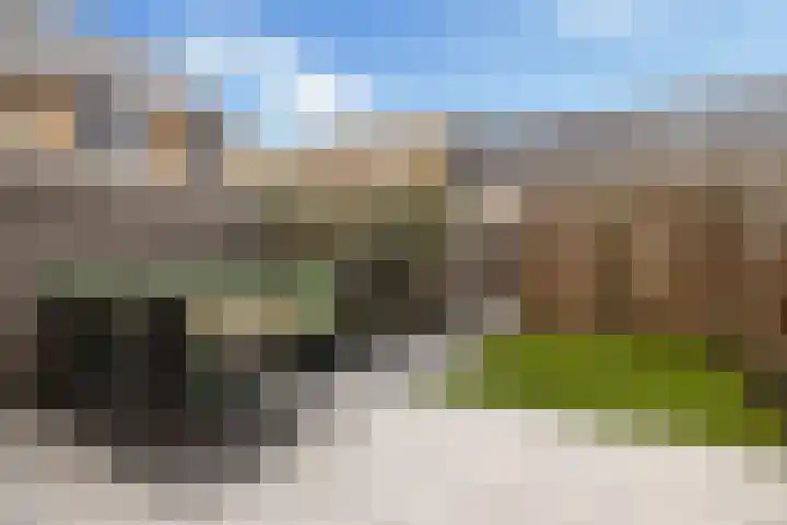 Plantenkasstraat 24 Utrecht thumbnail 6