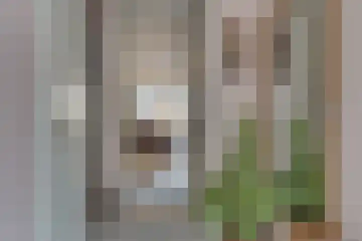 Plantenkasstraat 35 Utrecht thumbnail 7