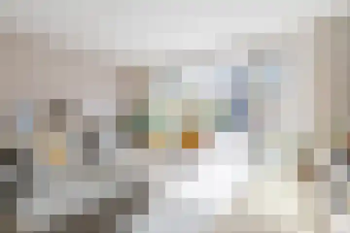 Plantenkasstraat 48 Utrecht thumbnail 5