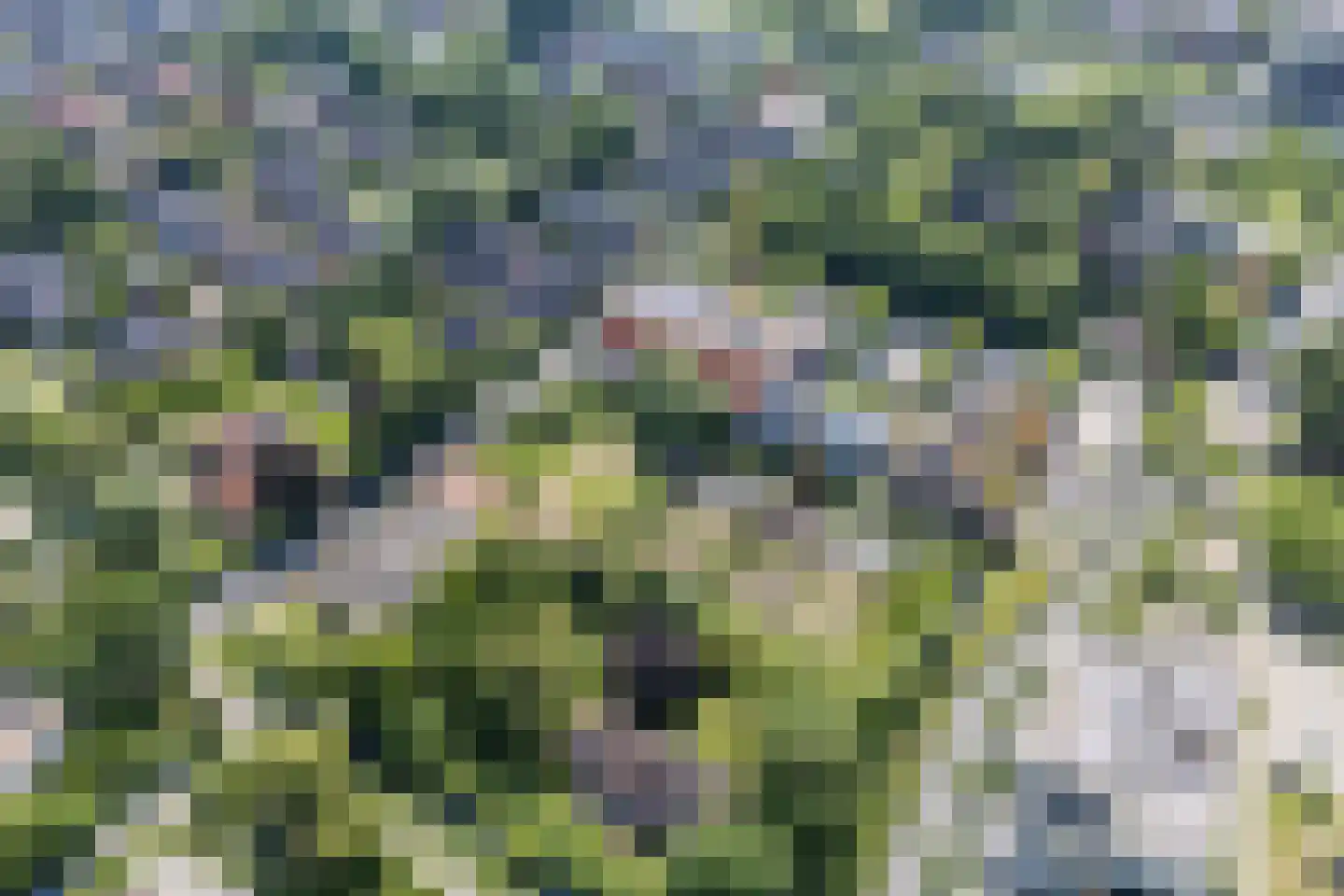 Plantenkasstraat 5 Utrecht thumbnail 56