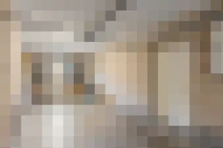 Plantersgraaf 9 Warmenhuizen thumbnail 26