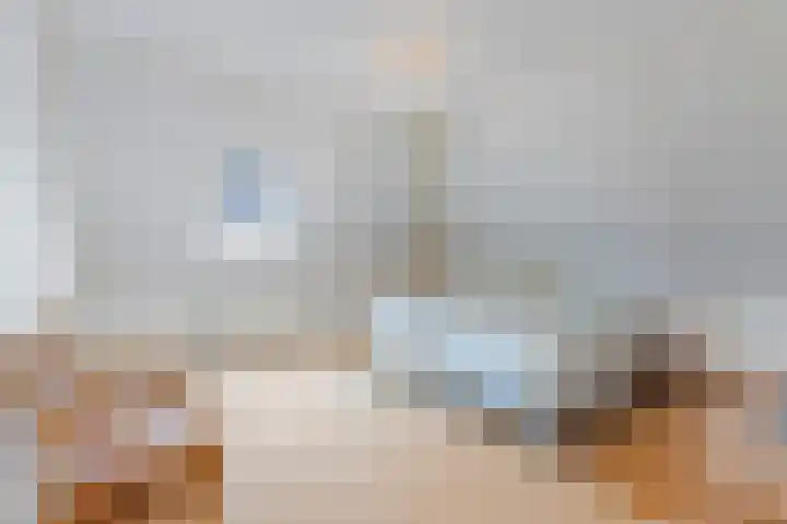 Plantersgraaf 9 Warmenhuizen thumbnail 31