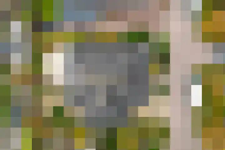 Plantersgraaf 9 Warmenhuizen thumbnail 42