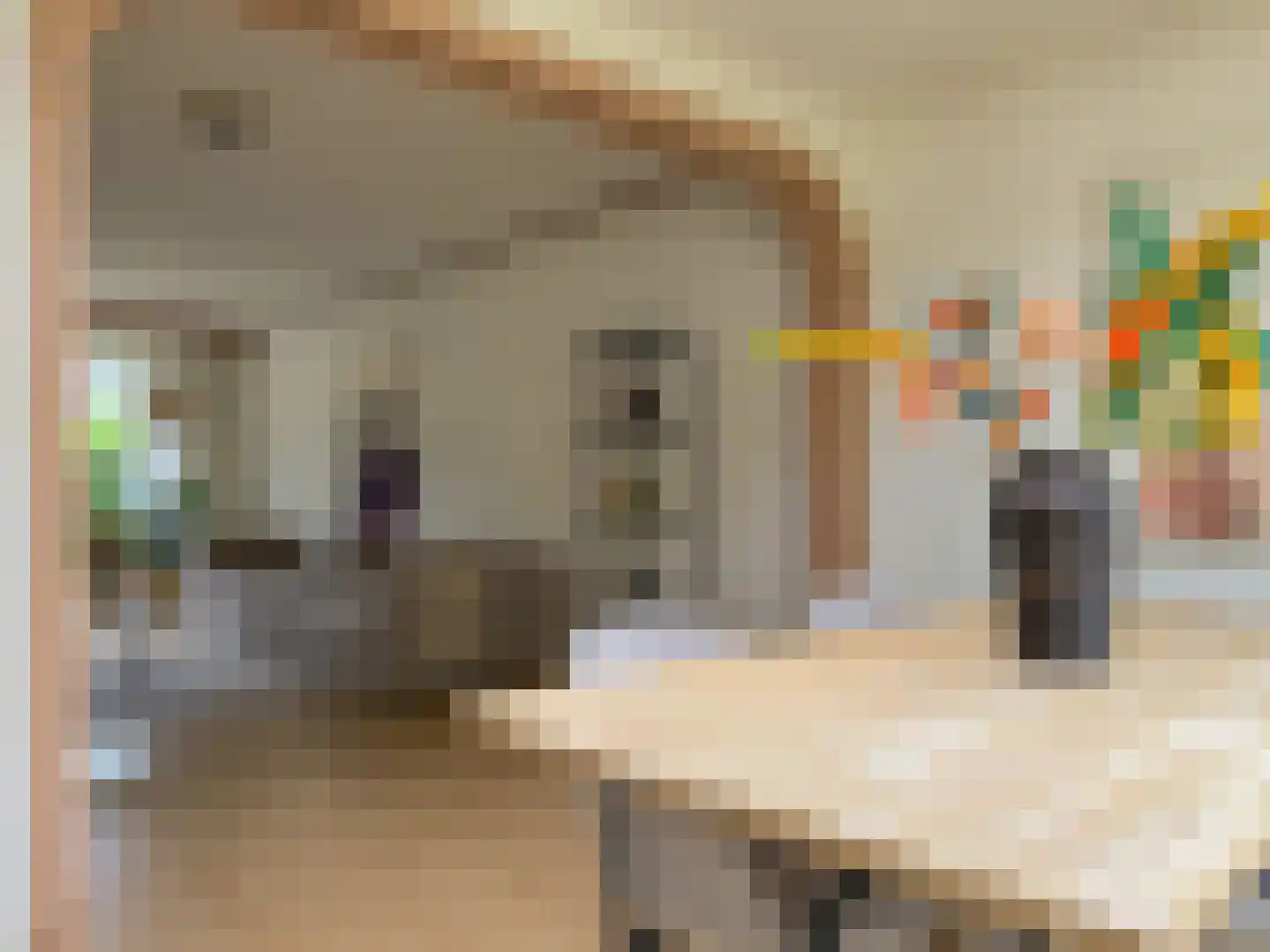Planterslaan 12 Leersum thumbnail 10
